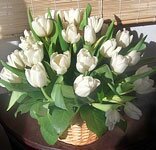 ������� �� ����� ���������