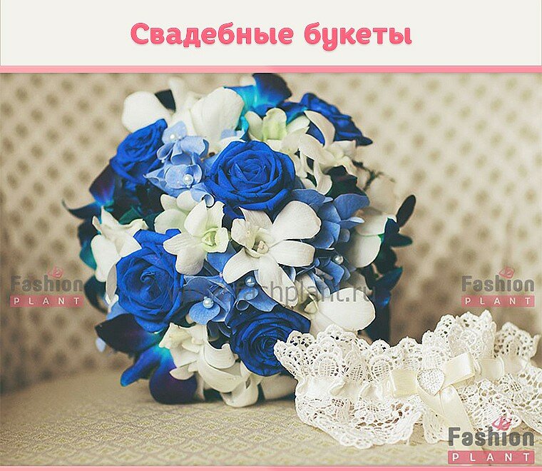 fashplant_cvadebnye_bukety_1.760x660.jpg
