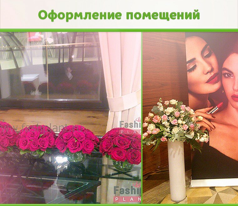 fashplant_oformlenye_pomecheniy.760x660.jpg