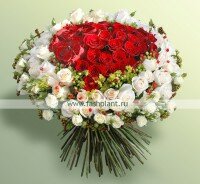 Букет выполнен из белой и алой розы на каркасе в виде сердца №476