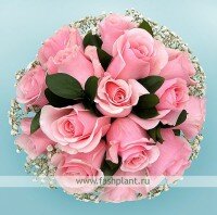 Букет из розовой розы и гипсофилы №306